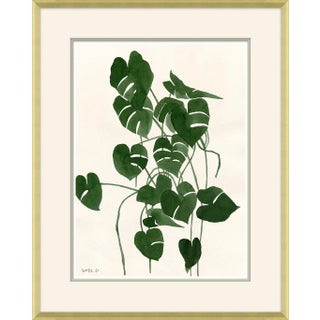 Sea Green Palm Framed Art Print by Susan Hable For Sale