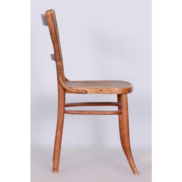 Art Deco Beech Chair from Fischel, Czechia, 1920s For Sale - Image 6 of 10