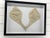 Modern Framed Antique Water-Wings For Sale - Image 3 of 5