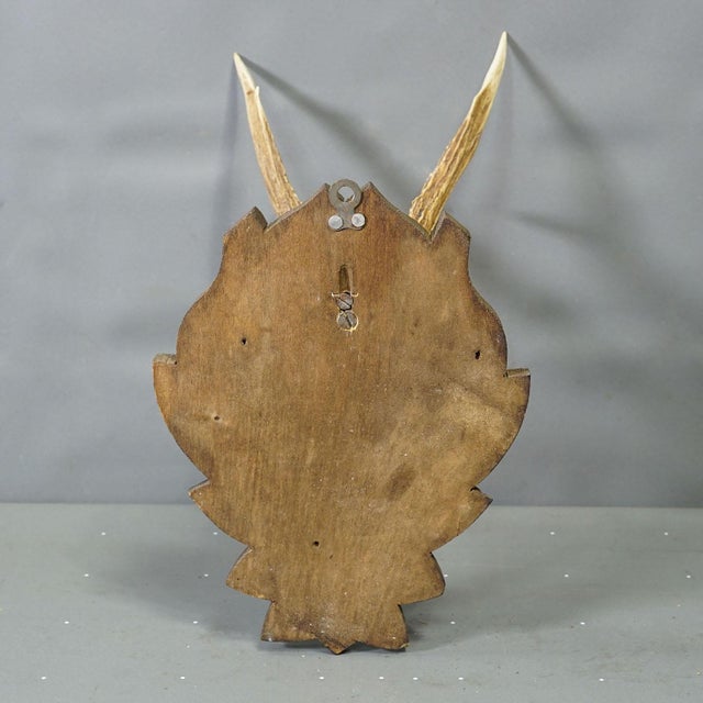 Mid 20th Century Black Forest Vintage Roe Deer Trophy on Carved Plaque 1940s For Sale - Image 5 of 5