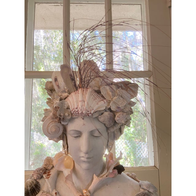 Shell Bust, “May River Venus” by Artist Fancy, May River Neptune, Signed For Sale - Image 4 of 12