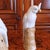 White Chinese Export Porcelain Cockatoos - A Pair For Sale - Image 8 of 14