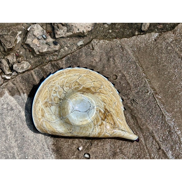 Mouth-Blown Glass Art Bowl in the Shape of a Shell, from the Jozefina Krosno Glass Art Manufactory, Poland, 1980s For Sale - Image 14 of 18