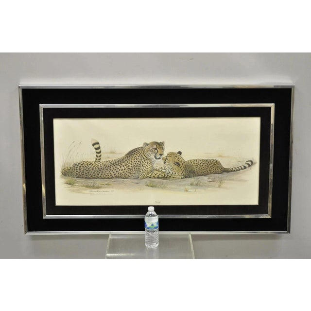 1972 Cheetah Lithograph Art by Richard Evans Younger in Velvet Chrome Frame For Sale - Image 10 of 12