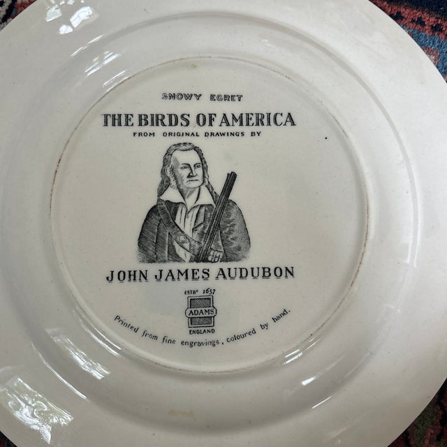 John James Audubon Early 1900s John James Audubon China Plates- Set of 12 For Sale - Image 4 of 5