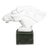 Carved Marble Horse Head Sculpture on Stone Base For Sale