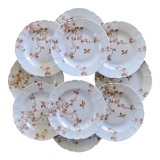 Vintage Limoges Porcelain Plates from Haviland, 1930s, Set of 10 For Sale