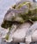 Contemporary Cast Stone Dog Garden Statue With Moss Patina Mid 20th Century For Sale - Image 3 of 15