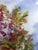2010s Watercolor Painting Rowan Viktor Mikhailichenko For Sale - Image 5 of 7