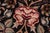 Floral 1990's Pak-Persian Black/Brown Wool Rug - 8'2'' X 10'3'' For Sale - Image 4 of 9