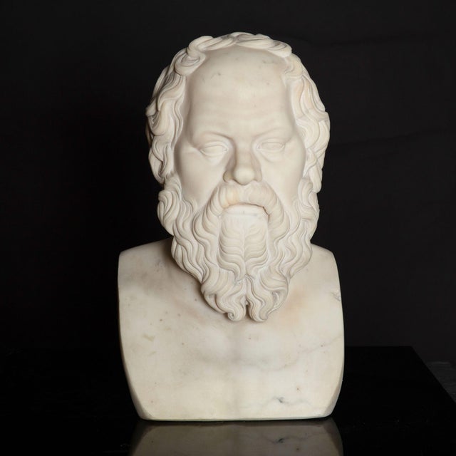 Grand Tour 19th Century Antique Italian Grand Tour Marble Bust of Socrates Ca. 1860-80 For Sale - Image 3 of 17