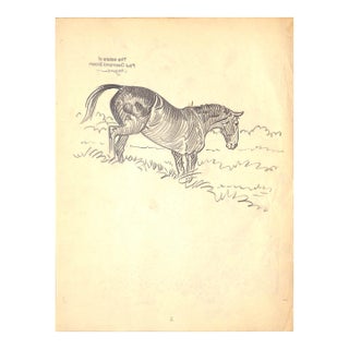 Original 1944 Pencil Drawing From Hi, Guy! The Cinderella Horse by Paul Brown 18 For Sale