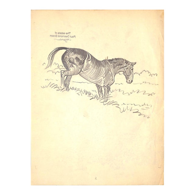 Original 1944 Pencil Drawing From Hi, Guy! The Cinderella Horse by Paul Brown 18 For Sale