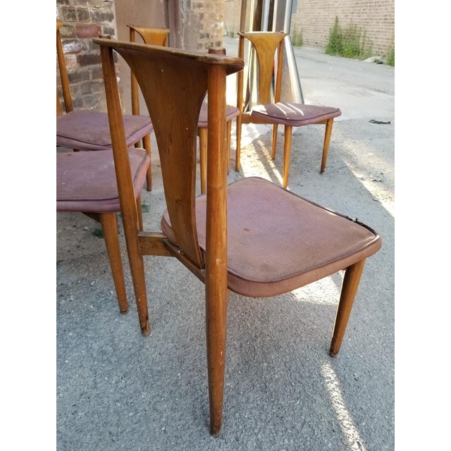 Mid Century Modern Lawrence Peabody For Richardson Nemschoff Bentwood Dining Chairs Set Of 6 Chairish