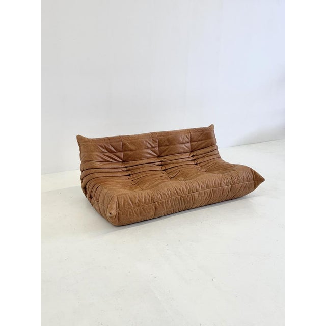 Togo 3-Seater Sofa in Cognac Leather by Michel Ducaroy for Ligne Roset For Sale - Image 5 of 10