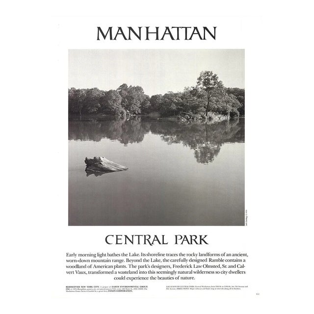 1978 Joel Greenberg 'Central Park' Contemporary USA Offset Lithograph For Sale