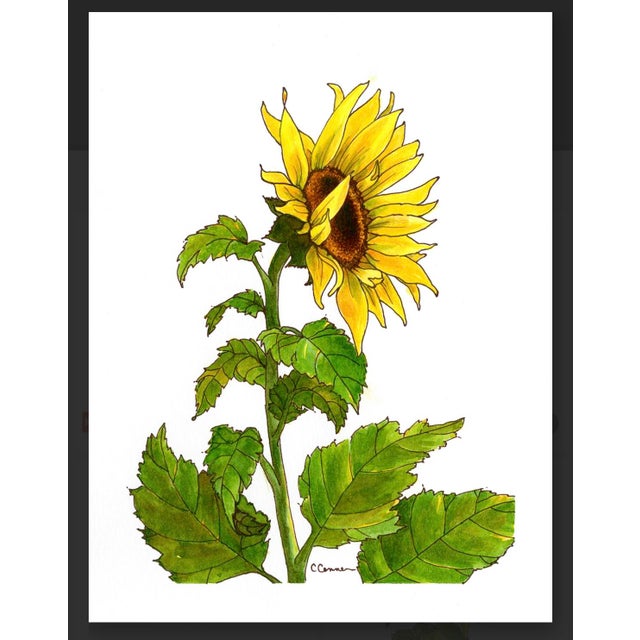 Watercolor Painting Giclee Print Sunflower For Sale - Image 4 of 4