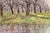 White Impressionist Painting by James Scoppettone (Born 1937) For Sale - Image 8 of 11