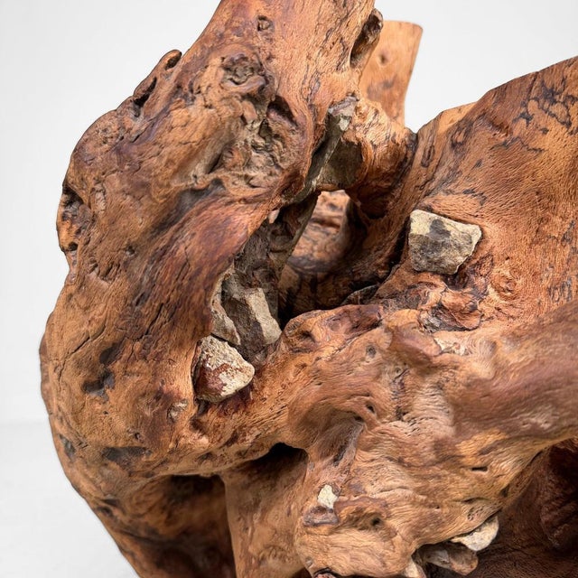 Japanese Koboku Root Wood Sculpture, 1960s For Sale - Image 11 of 16