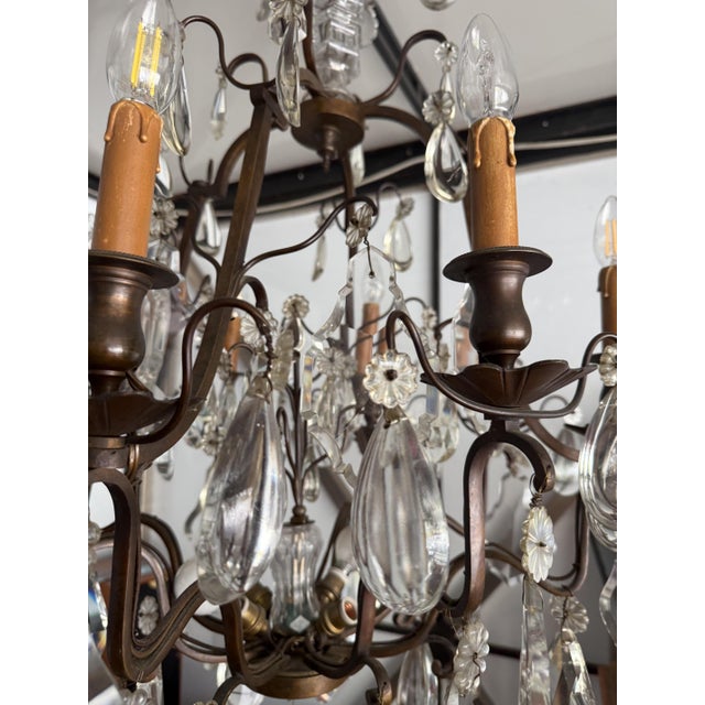 Louis XV Crystal 12-Light Cage Chandelier from Maison Baguès For Sale - Image 11 of 14