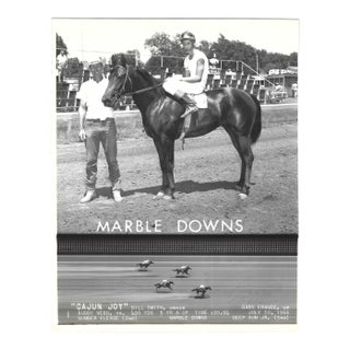 1966 Cajun Joy Winner's Crile Horse Racing Photograph For Sale