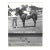 1966 Cajun Joy Winner's Crile Horse Racing Photograph For Sale
