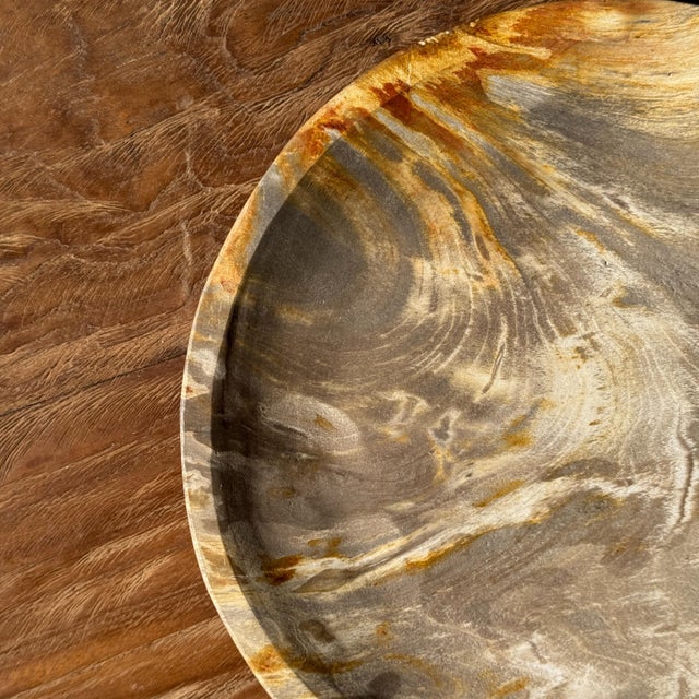 Beige Light Beige Petrified Wood Circular Tray, 1980s For Sale - Image 8 of 11