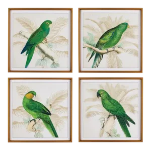 Green Parrots Study from Kenneth Ludwig Chicago - Set of 4, Framed