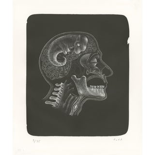 Thomas Ott, Idee (Idea), 2018, Lithograph For Sale