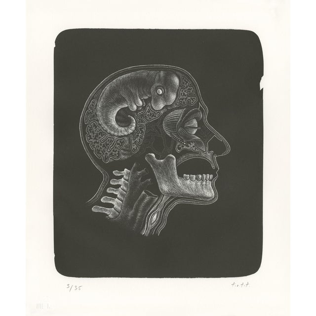 Thomas Ott, Idee (Idea), 2018, Lithograph For Sale