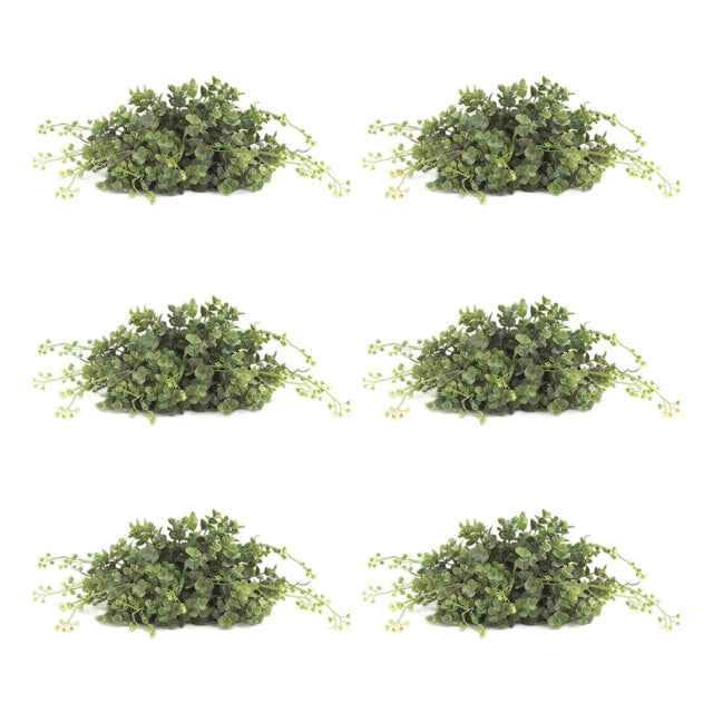 Spring Boxwood Foliage Half Orb (Set of 6) For Sale