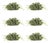 Spring Boxwood Foliage Half Orb (Set of 6) For Sale