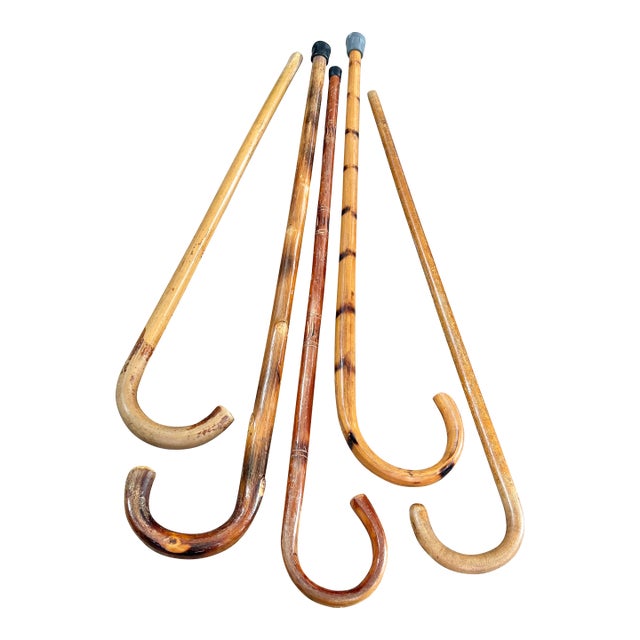 Mid 20th Century Rustic Estate Wood Bamboo Walking Canes - Set of 5 For Sale