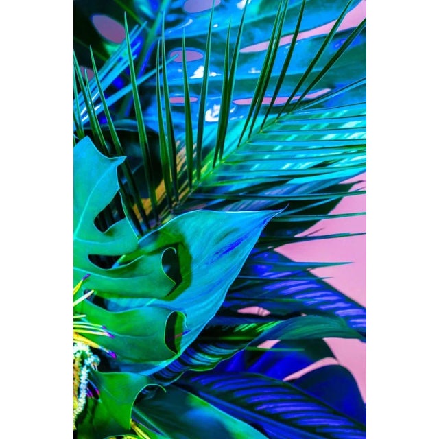 Contemporary La Laguna by Javiera Estrada Print with Black Frame - 40 X 60 For Sale - Image 3 of 3