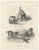 C.C. G. Zool., Hunting Dogs and Dachshunds Interacting with Cats, 1836, Lithograph For Sale - Image 12 of 12