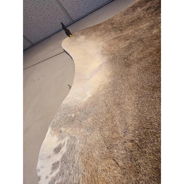 Large Beige and Brown Cowhide Rug For Sale - Image 16 of 18