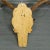 1950s Capital Black Forest 16 Pointer Deer Trophy on Wooden Plaque For Sale - Image 5 of 5