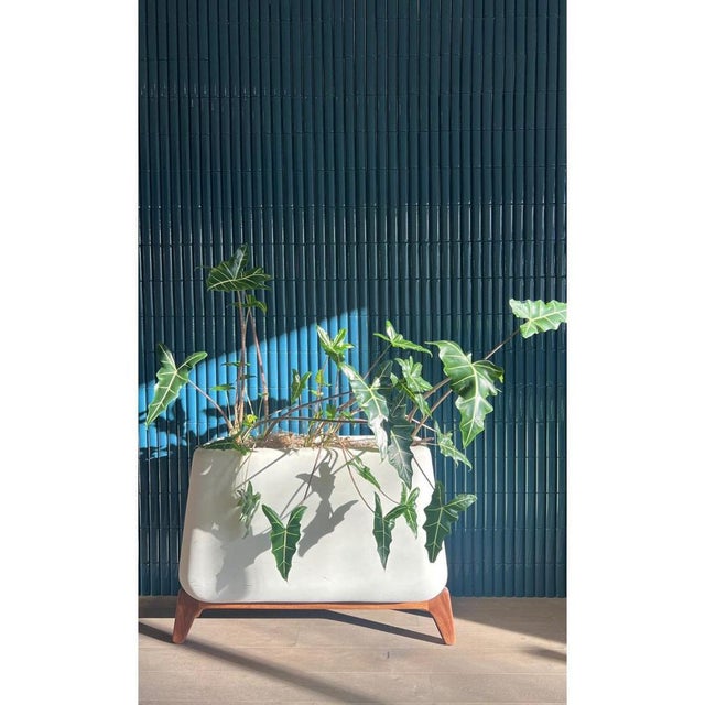 Contemporary Terra Through Black Planter with Natural Wood Base by Indigenus For Sale - Image 3 of 12