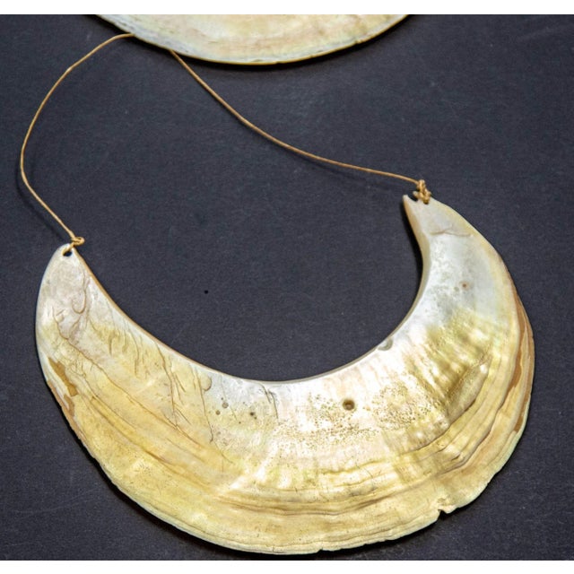 Antique Ethnic Tribal Kina Crescent Shell Necklaces Papua New Guinea Set of 3 For Sale - Image 9 of 12