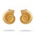 Bronze Golden Spiral Seashell Earrings, A Pair For Sale - Image 8 of 8