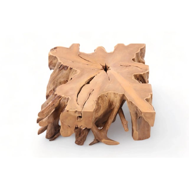 39" Inch Square Teak Root Coffee Table For Sale In Boston - Image 6 of 9