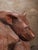 Hand-Carved Wooden Sleeping Dog Sculpture in Curled Form For Sale - Image 4 of 5