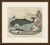 This antique natural history print shows a sperm whale, a harbour porpoise and harbour seals, an original plate from c. F....