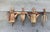 1990s Cottage Garden—French Country decor . The natural rusting patina adds charm. Cast iron. Use in the mud room, potting...
