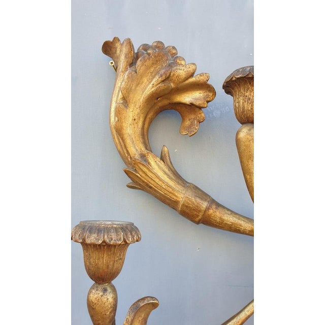 Large 19th Century Sculpted Gilded Wood Wall Light, Tuscany, Italy For Sale - Image 9 of 14