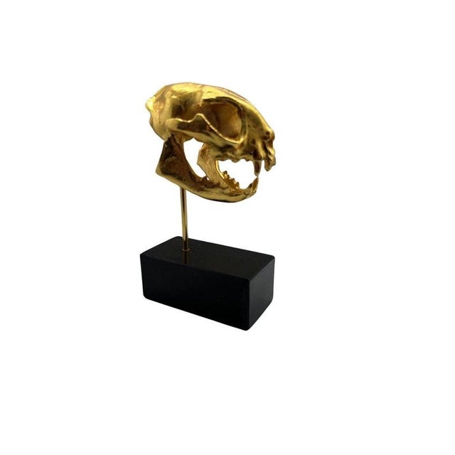 2000 - 2009 Golden Cat Skull Desk Sculpture on Black Marble Base For Sale - Image 5 of 11