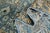 1970s Vintage Persian Handmade Wool Cotton Light Brown Area Rug For Sale In San Francisco - Image 6 of 11