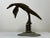 Art Deco 1930s Art Deco British Brass Flying Stork Bird Car Mascot Figurine For Sale - Image 3 of 11