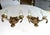 Pair Neoclassic Dolphin Shell Brass Wall Sconces For Sale - Image 13 of 13