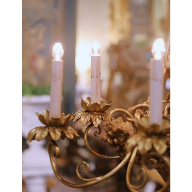 Mid-Century French Louis XVI Giltwood Six-Light Basket Floral Chandelier For Sale - Image 4 of 10